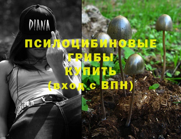 jwh Белокуриха