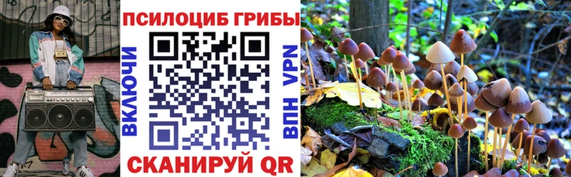 kraken вход  Барнаул  Псилоцибиновые грибы MAGIC MUSHROOMS 